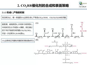 工作版本,稳定性策略设计_尊享款_v10.315