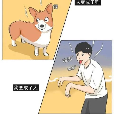 哈哈漫画官方下载,高速响应方案设计-精装版_v2.630
