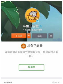 斗鱼5.0版本，深入数据应用解析创意版1_v3.739——你的宝藏软件揭秘