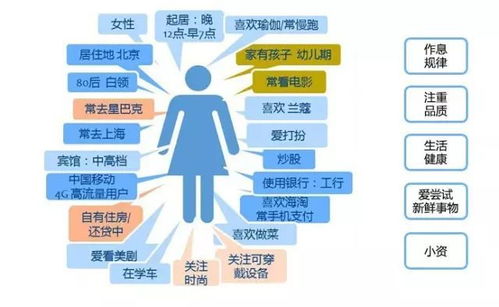 描述文件下载官方,实地分析数据执行_Mixed_v3.369
