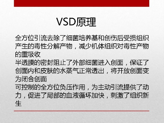 vsd官方下载,实际案例解析说明-特别款_v3.274