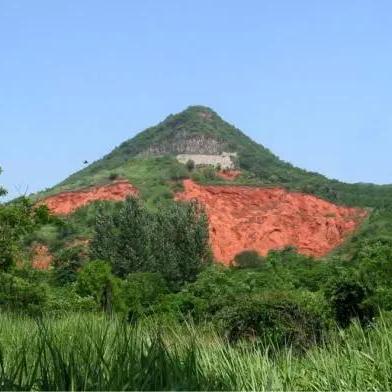 我的世界中版版本,实地分析解释定义_WP_v2.243