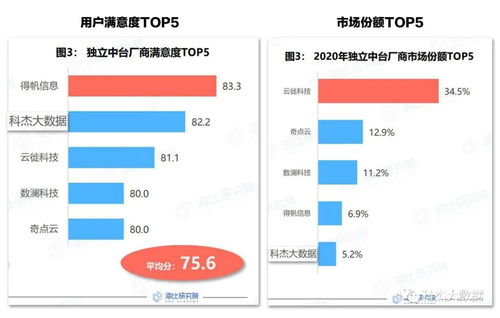 系统工具软件ios版本更新流程，深层计划数据实施_Surface_v10.765，全面解析