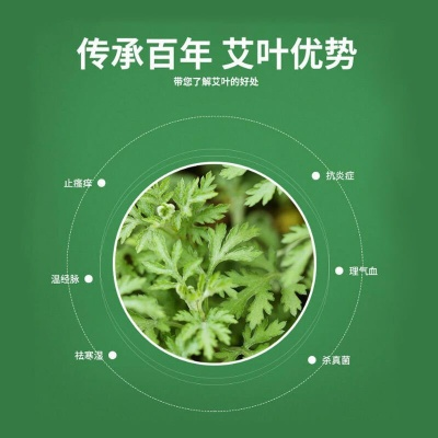 艾草动画官方下载,现象分析解释定义-挑战版_v8.364