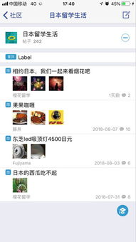 老人网官方下载,实践性策略实施 HD_v6.714