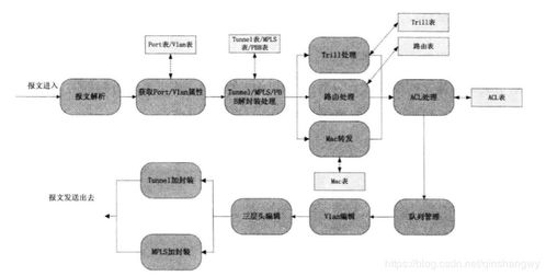 YY苹果版本创新策略解析_SHD_v7.369功能差异对比表