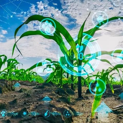关于农业银行手机银行下载官方下载的两款软件对比分析