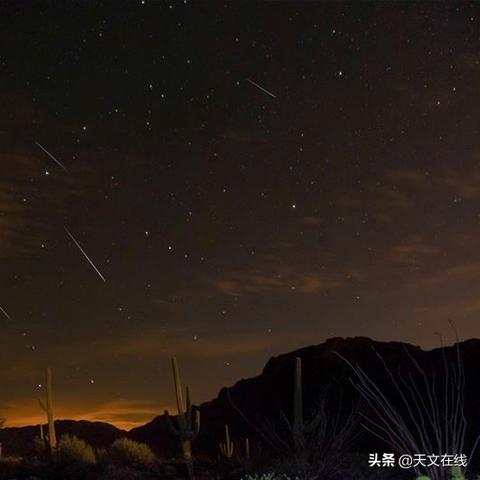 辐射4官方下载,迅捷解答方案实施-体验版_v4.901