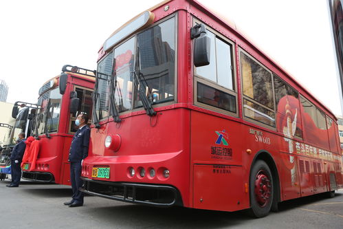 青岛巴士通官方下载,全面设计实施策略_黄金版1_v6.632