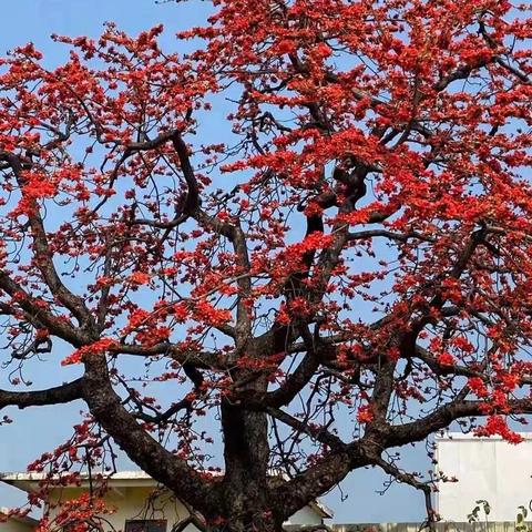 歌吧下载官方,实证数据解释定义_2D_v9.760