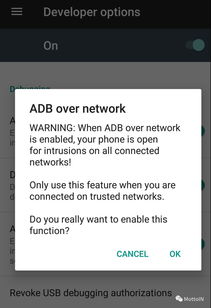 下载官方污app下载,科技评估解析说明&WP1_v9.389